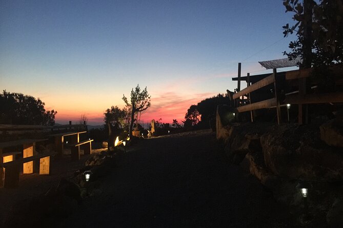 Elba Island Farmhouse tasting experience - What to Expect During the 2-Hour Experience