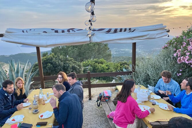 Elba Island Farmhouse tasting experience - Accessibility and Participation