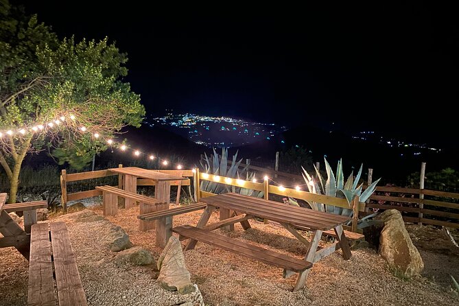 Elba Island Farmhouse tasting experience - Cost and Booking Insights