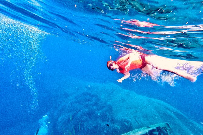 Elba Island Full Day Sea Kayak Tour - Cotoncello: A Tiny Beach in a Serenity-Perfect Inlet