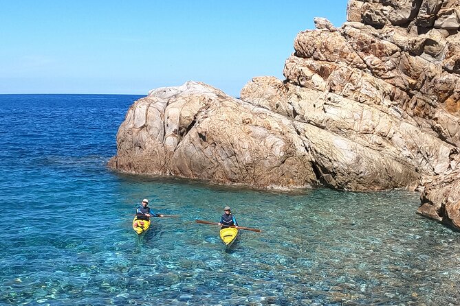 Elba Island Full Day Sea Kayak Tour - Physical Activity and Accessibility Considerations