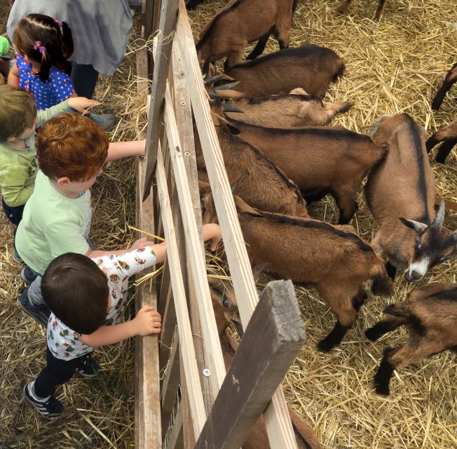 Elba: Tuscan Farmhouse Tasting - Who Will Appreciate This Tour Most?