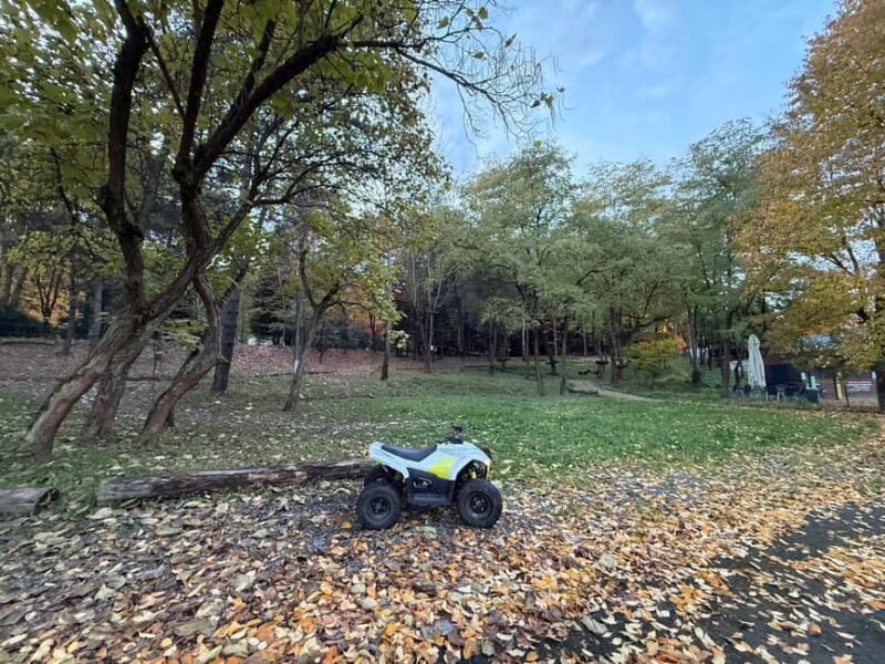 Electric ATV Track Ride Adventure for Kids and Teens - The Electric ATV: Environmentally Friendly and Easy to Handle