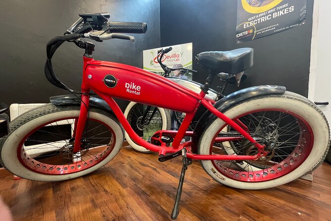 Electric Bicycle Rental in Seville - Meeting Point and Accessibility in Seville