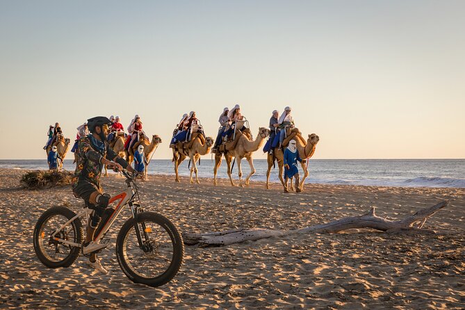 Electric Bike and Beach Camel Ride with Mexican Buffet Lunch - Explore Baja California Sur with an Electric Bike and Camel Ride for $129