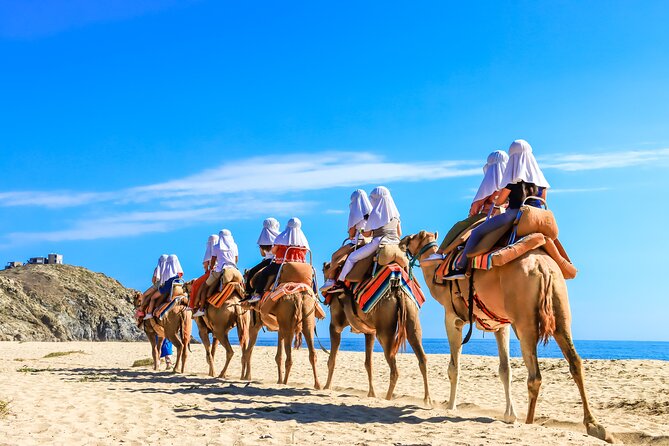 Electric Bike and Beach Camel Ride with Mexican Buffet Lunch - Encounter with the Friendly Camels at Tierra Sagrada
