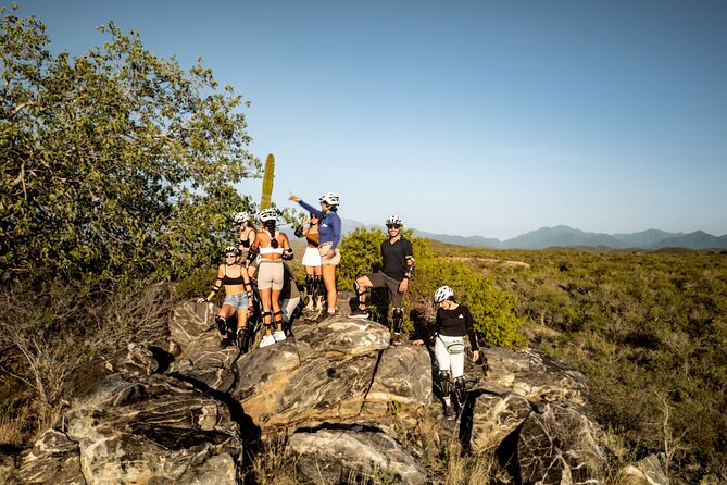 Electric Bike and Beach Camel Ride with Mexican Buffet Lunch - Relaxing Beach Walk and Whale Watching Opportunities