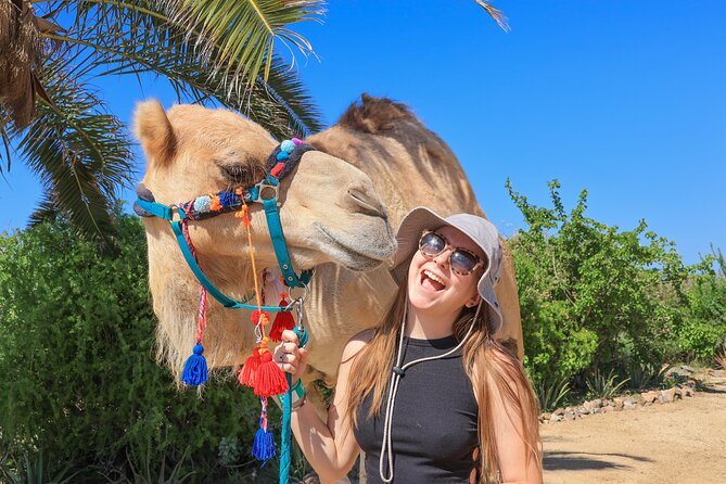 Electric Bike and Beach Camel Ride with Mexican Buffet Lunch - Return Trip with Scenic Views and Friendly Guides