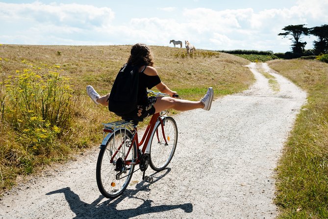 Electric bike excursion in Camargue - Key Points