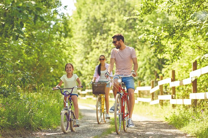Electric bike excursion in Camargue - Scenic Routes Through Marshes and Rice Fields