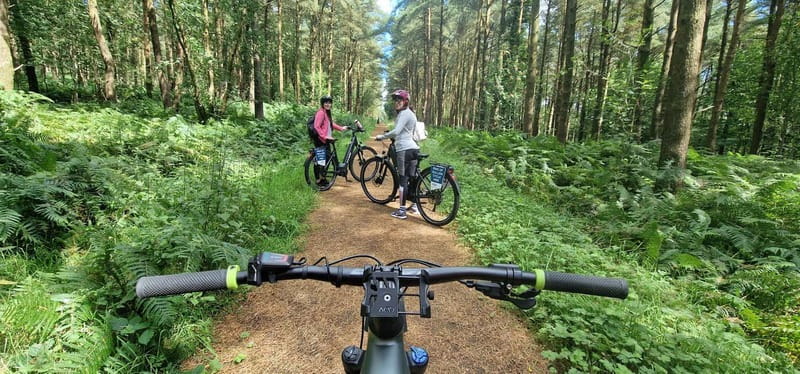 Electric Bike Experience on Slieve Gullion Mountain - Explore Slieve Gullion Mountain on a Powerful Electric Bike