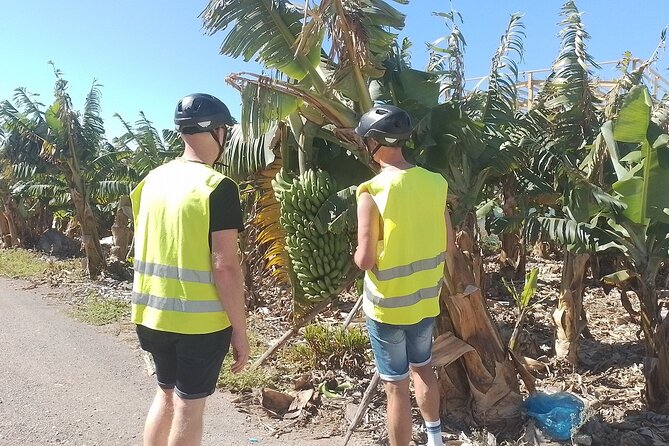 Electric Bike Panoramic South Coast Tour Optional Fishing Tapas - The Value and Overall Impression
