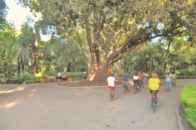 Electric Bike Rental 3 hours - What the Electric Bike Looks Like and How It Performs