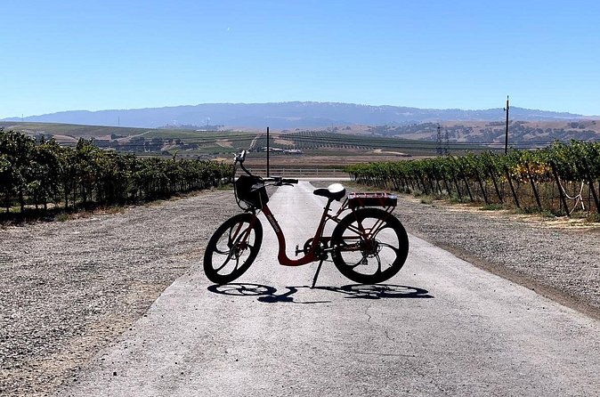 Electric Bike Rental in Livermore - Visiting Wineries and Breweries Along the Route