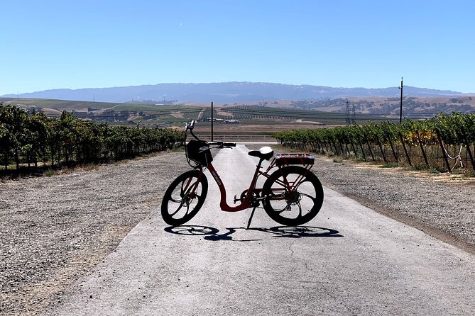 Electric Bike Rental in Livermore - The Ride Experience and Family Suitability