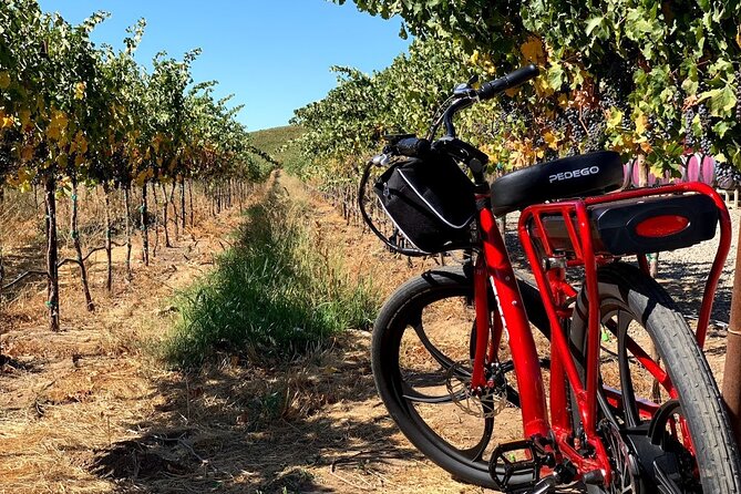 Electric Bike Rental in Livermore - The Benefits of Using Pedego Electric Bikes in Livermore