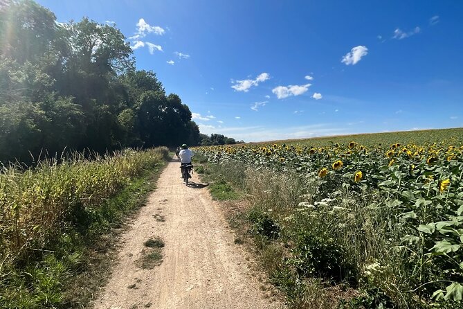 Electric bike rental in Paris - Discover Paris on an Electric Bike in the Heart of the City