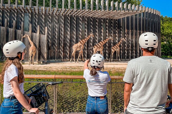 Electric bike ride in the Parc de la Tête d'Or - 2h - Exploring Parc de la Tête dOr, Lyon’s Largest Urban Park