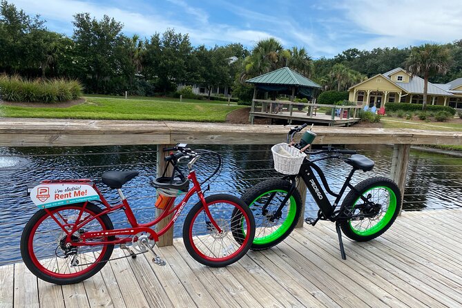 Electric Bike Tours in Amelia Island - The Tour Begins at Big Talbot Island State Park