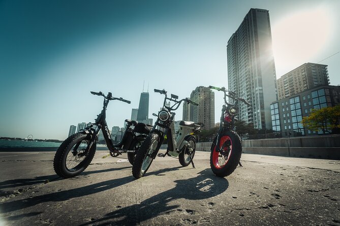 Electric Bike Tours in Lincoln Park - Key Points