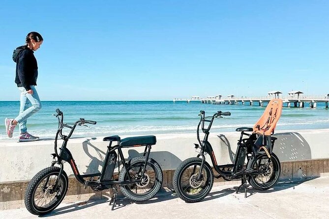 Electric Bike Wildlife & History Tour along Fort De Soto's Beaches - Wildlife & Beaches: Shells, Turtles, and More