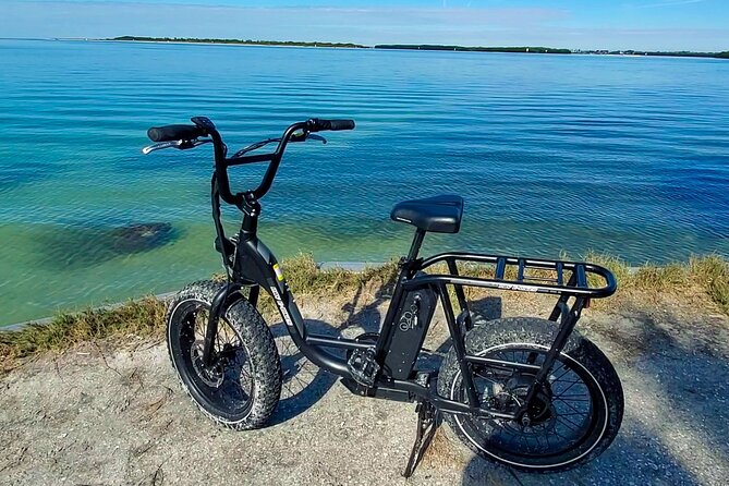 Electric Bike Wildlife & History Tour along Fort De Soto's Beaches - The Guide’s Role in the Experience