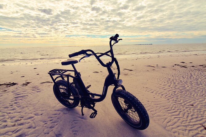 Electric Bike Wildlife & History Tour along Fort De Soto's Beaches - Practical Details and Booking Info