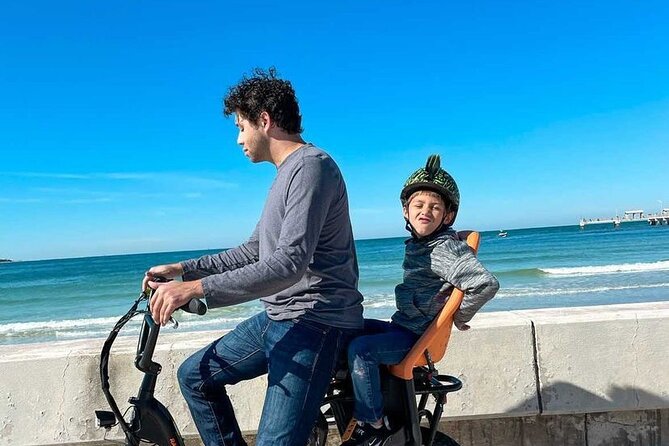 Electric Bike Wildlife & History Tour along Fort De Soto's Beaches - Why This Tour Is a Top Choice in St. Petersburg