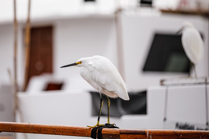 Electric boat Rentals in San Diego Bay. Family friendly boating - Safety and Comfort Features of the Electric Boat