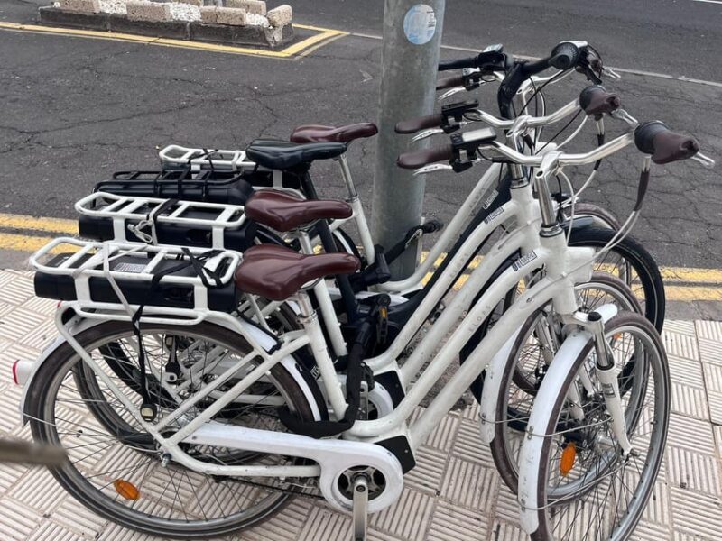 Electric City Bike Rental with Hotel Delivery - Practical Tips for a Great Day on the Electric Bike