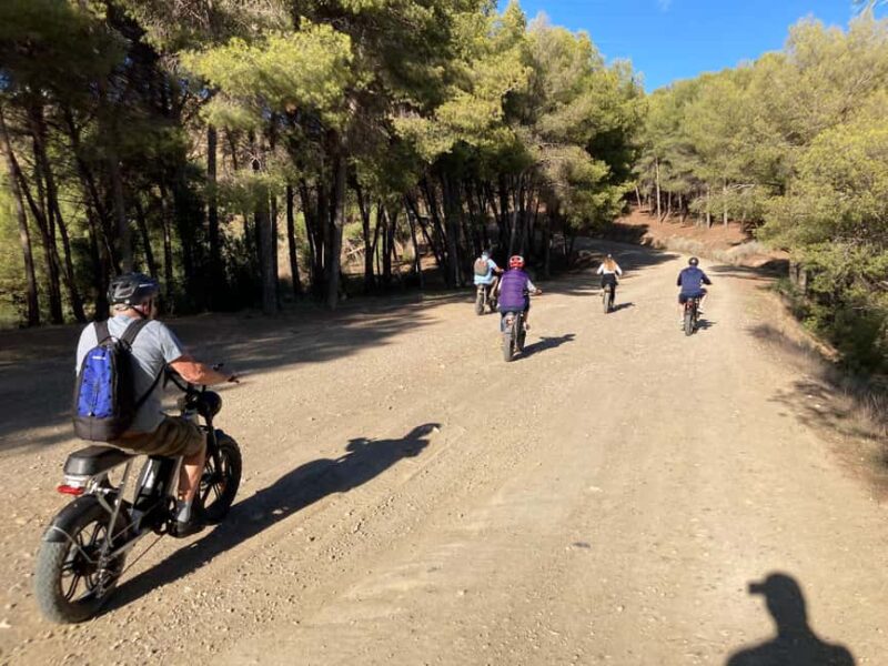 Electric FAT Biking in Montes de Malaga & Countryside - Visiting the Visitor Center and Final Stages