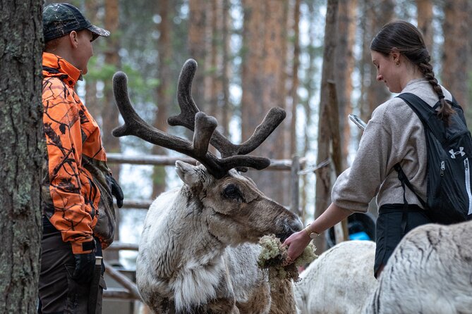 Electric Fatbike Trip to the Reindeer Farm - Visit an Authentic Reindeer Farm and Meet Sami Herders