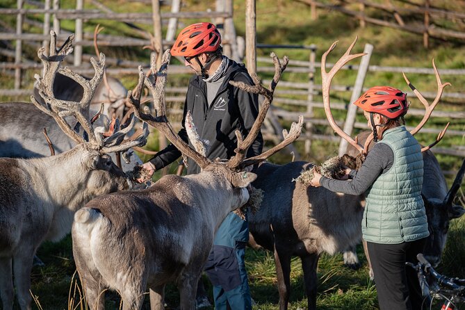 Electric Fatbike Trip to the Reindeer Farm - Why This Tour Is a Great Choice for All Ages