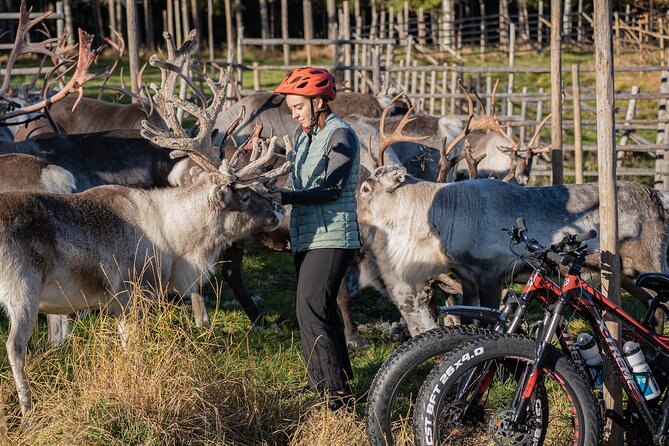 Electric Fatbike Trip to the Reindeer Farm - Weather and Cancellation Considerations