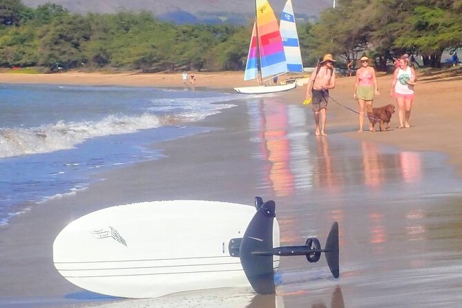 Electric Foilboard rides/lessons/sessions at Sugar Beach, Maui - Small-Group Electric Foilboard Lessons with Expert Guides
