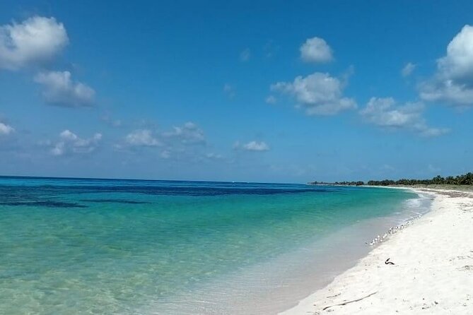 Electric Island Tour with Snorkel, Picnic and Otoch Mayan Experience - The Mayan Ceremony and Tasting at Otoch