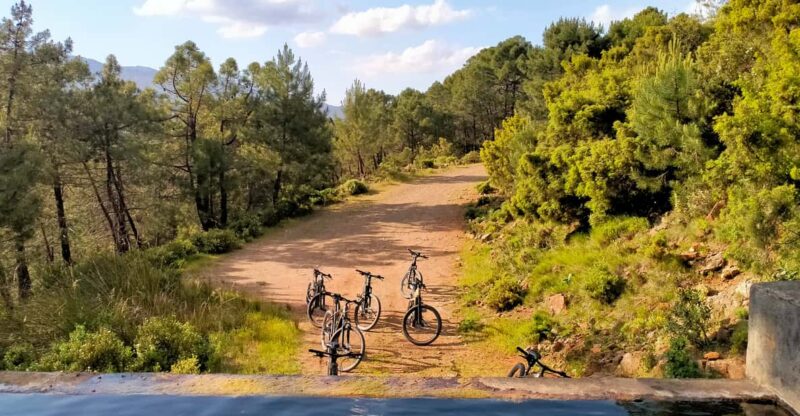 Electric mountain bike in Sierra de las Nieves national park - Connecting with Nature on a Quiet Mountain Ride