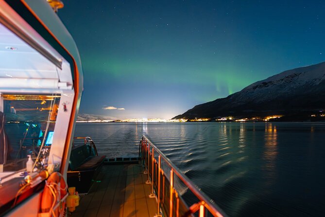 Electric Northern Lights Cruise - Review Highlights: What Works Well