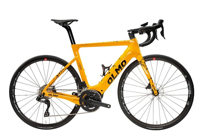 Electric Olmo E-bro 2.0 E-race Bike 500W Rental in Tenerife - Key Points