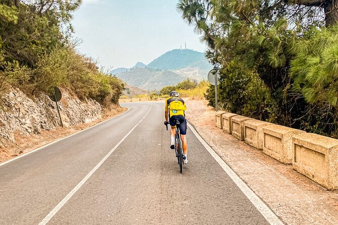 Electric Olmo E-bro 2.0 E-race Bike 500W Rental in Tenerife - Comparing to Other Tenerife Activities