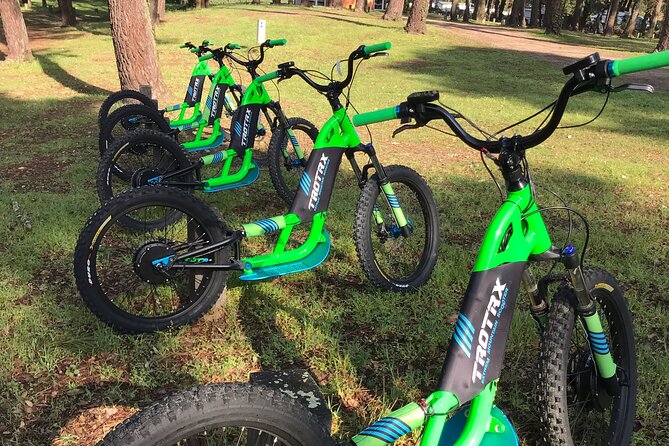 Electric Scooter Excursion with Tapas Aperitif - The Electric Scooters: Eco-Friendly and Easy to Handle