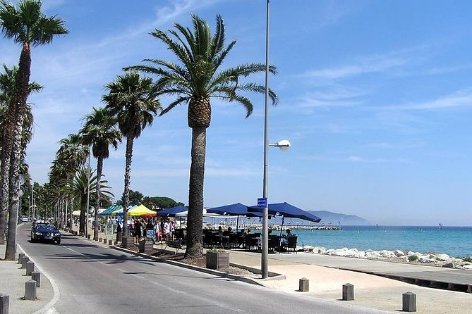 Electric Scooter Rental - Limitations to Consider