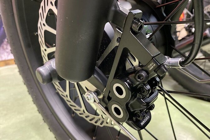 Electric scooter tour in Hossegor - Navigating Through Pédebert District and Landes Forest