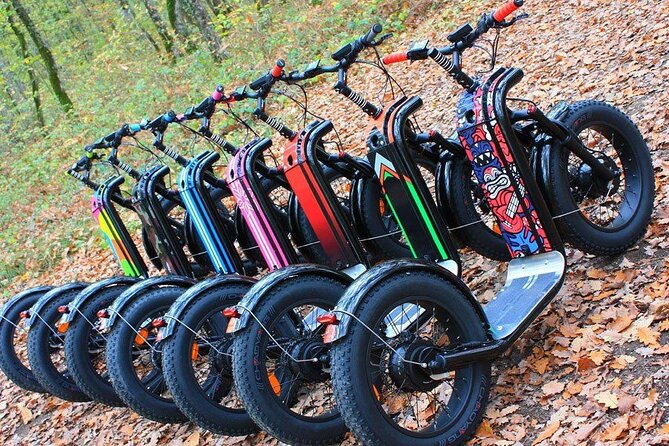 Electric scooter tour in Hossegor - Views of the Marine Lake and Ocean