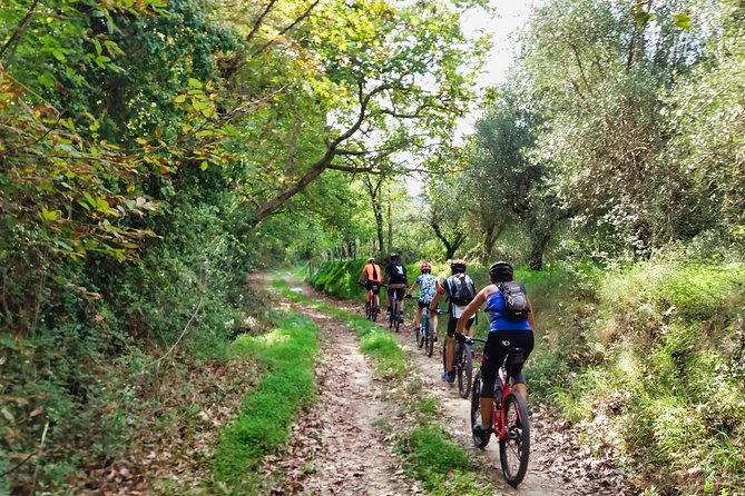 Eleftherna E-Bike and MTB Tour - Experience The Authentic Crete - Explore Cretes Natural Beauty on an E-Bike Adventure