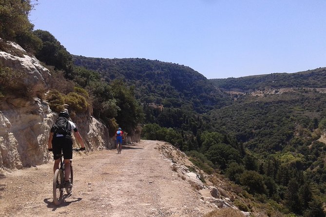 Eleftherna E-Bike and MTB Tour - Experience The Authentic Crete - What to Expect During the 2-Hour Forest Stop