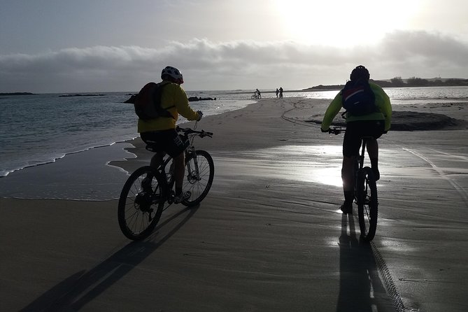 Eleftherna E-Bike and MTB Tour - Experience The Authentic Crete - Riders Experience and Physical Requirements