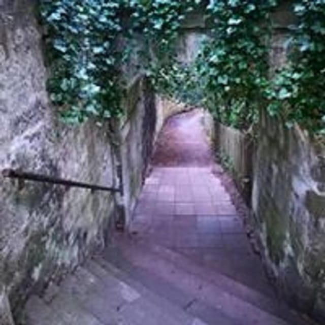 Elgin: The Royal West End Walking Tour - The Well for Holy Water and Its Religious Significance