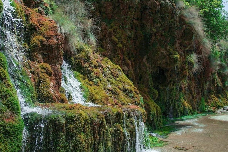 Elite Crete: Kourtaliotiko Canyon & Preveli Palm Oasis - Key Points