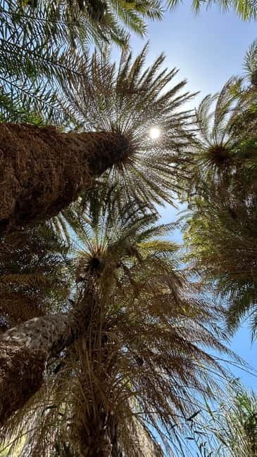 Elite Crete: Kourtaliotiko Canyon & Preveli Palm Oasis - Frequently Asked Questions